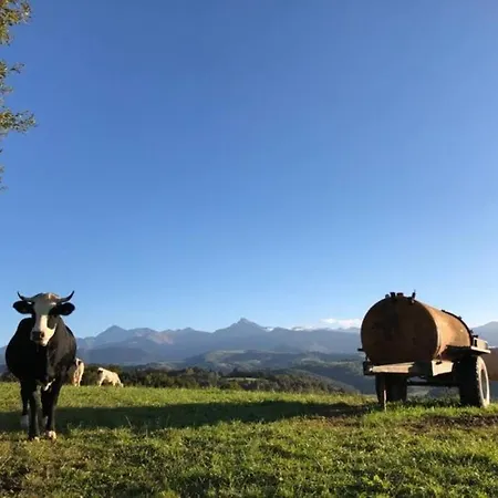 75 m² de plaisir face aux Pyrénées. Daire Layrisse