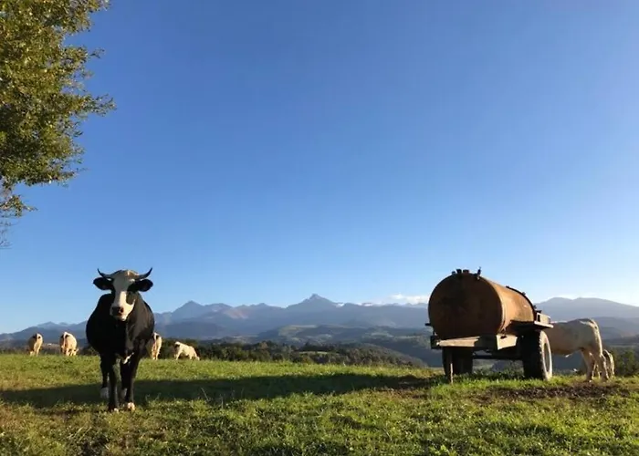 75 M² De Plaisir Face Aux Pyrenees. Apartmán Layrisse